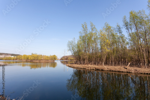 reflection of trees in the water