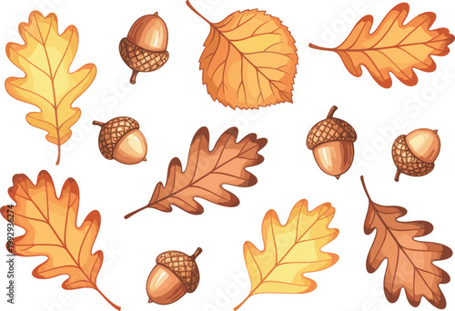 Autumn Oak Leaf and Acorn Vector Set with Golden Brown Foliage for Fall Harvest Festival Decorations Thanksgiving Stationery and Seasonal Forest Nature Designs