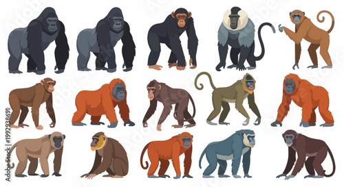 Collection of Various Primates and Monkeys Vector Illustration
