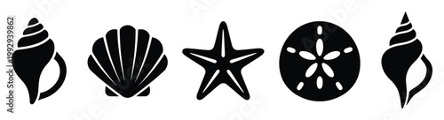 Stylized black seashells starfish and sand dollar icons for beach vacation designs and sea life symbols