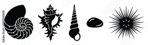 Collection of sea creatures and marine shells silhouettes perfect for ocean theme decor and educational materials