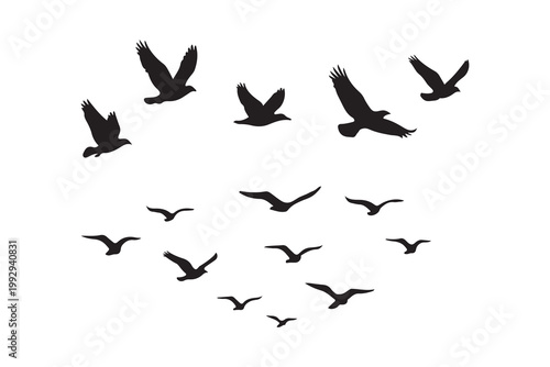 Valokuva flying birds from faraway silhouette