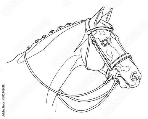 Monochrome line art of an elegant horse head with a dressage bridle and braided mane for equestrian projects