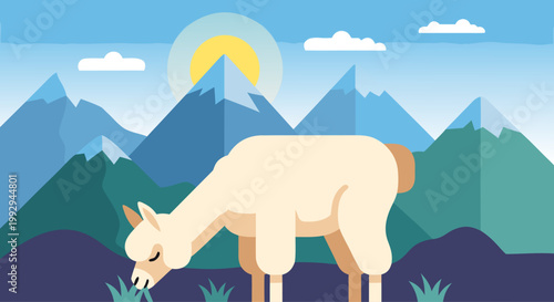 Llama grazing in alpine mountain landscape at sunrise