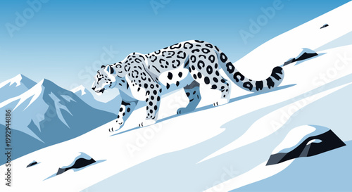 Snow leopard prowling across snowy alpine mountain slope