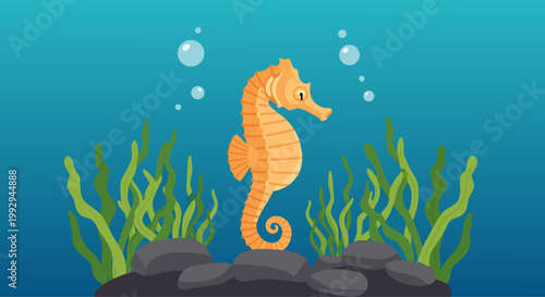Seahorse floating above rocky seabed with seaweed plants