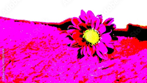 purple flower background