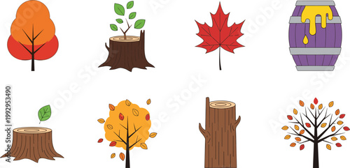 Set of Fall Trees, Stumps, Maple Leaves, and Honey Barrel for Autumn, Seasonal, and Nature Illustrations