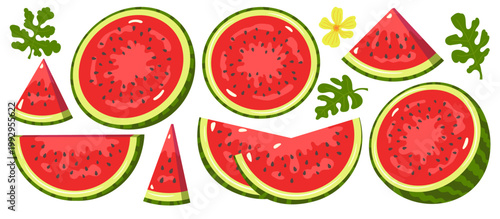 Fresh watermelon vector elements set, juicy slices, halves and whole fruits with leaves, healthy summer food illustration isolated on white background