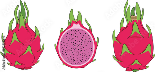 Vector Set of Dragon Fruit Illustrations, Whole and Sliced with Vibrant Pink Skin and Black Seeds for Tropical Fruits and Healthy Eating