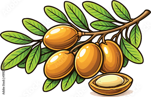 Olive Branch with Fruits Organic Healthy Food Illustration