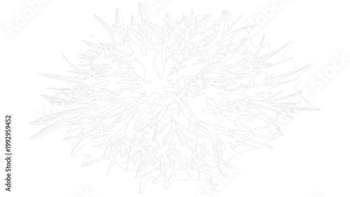 Intricate white line starburst of botanical leaves and floral shapes on gray background art.