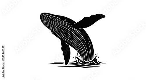 Black and white minimalist vector illustration of a humpback whale breaching out of the sea water, showing ventral pleats and fins, isolated on a white background for design.
