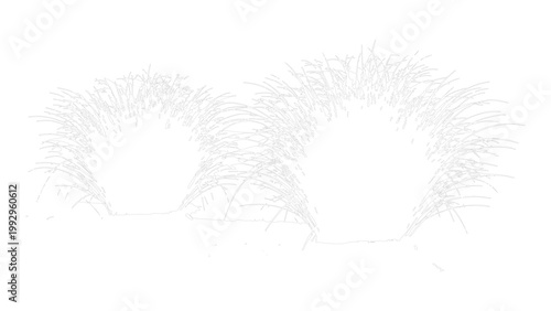 Elegant leafy branches and plant contours for delicate invitations or wedding stationary.