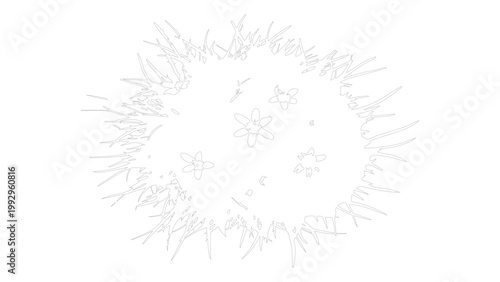 Minimalist white outline flower explosion pattern with scattered petals on transparent base.