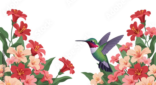 Vector illustration of a colorful hummingbird with green plumage and red throat hovering between clusters of red and pink trumpet lilies and green leaves on a white background.