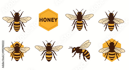 Set of honey bee vector illustrations featuring various bee poses and hexagonal honeycomb icons isolated on a white background for logo design and organic product branding.