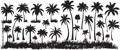 Black palm tree silhouettes, tropical landscape icons, palm tree set, vector graphics