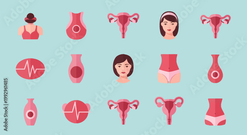 Flat vector icon set illustrating women's reproductive health and anatomy featuring uterine diagrams, female torsos, heartbeat symbols, and facial portraits in pink and red tones.