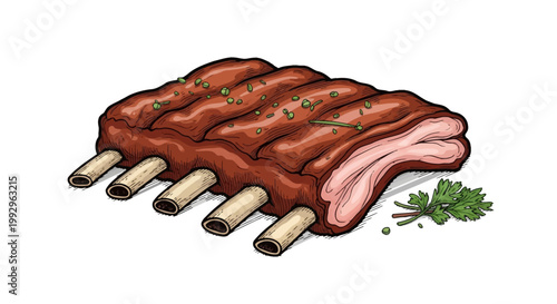 Hand-drawn vector illustration of grilled BBQ spare ribs with barbecue sauce and fresh herbs, isolated on a white background for food menu or culinary design.