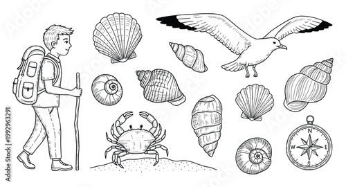 Young hiker with backpack exploring coastal treasures including diverse seashells, flying seagull, crab, and compass