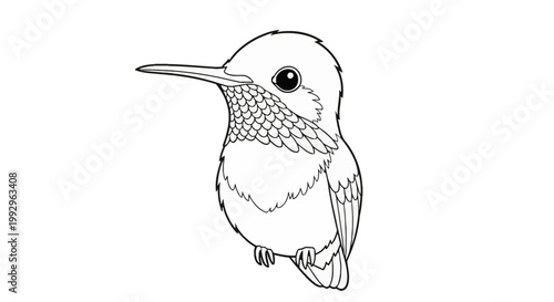 Cute hummingbird line art illustration for coloring book, featuring a small bird with a long beak, large eyes, and detailed feathers, black and white vector isolated on white background