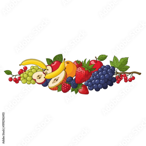 Horizontal illustration of mixed fruits with bananas, red apples, green and purple grapes, strawberries, oranges, pears, raspberries, blackberries and red currants on white background.
