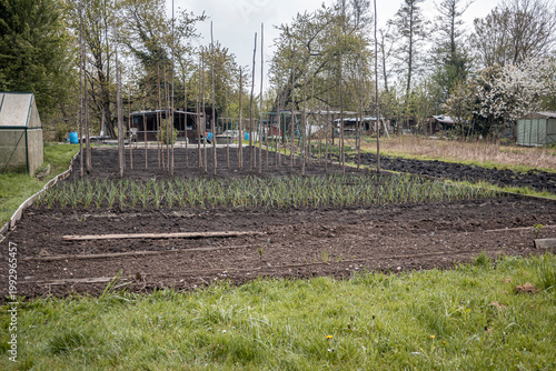Garten im Frühjahr für gemüse anbau