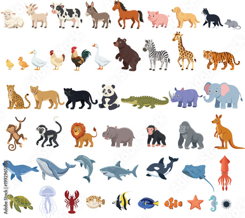 Photography Big collection of wild animals