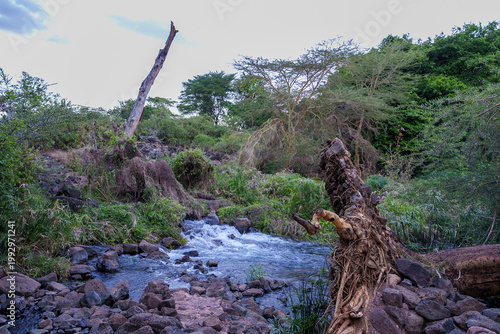 Mzima Springs in Tsavo West National Park, Kenya.