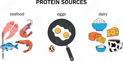 Protein sources set with seafood eggs dairy foods including fish shrimp cheese milk and rice healthy nutrition