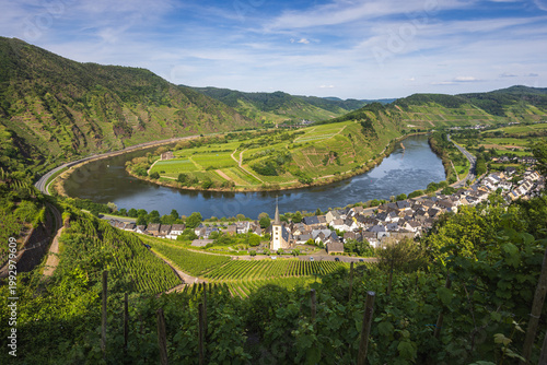 Фотография Wineyards around small town Bremm