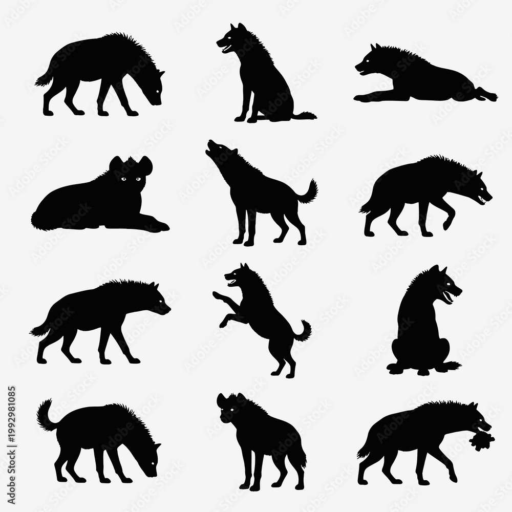 Obraz premium Hyena Silhouettes Set Standing Sitting Lying Howling Walking Jumping Running Eating Black Vector Collection