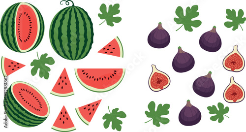 Watermelon and fig fruits set with whole sliced pieces and leaves fresh summer food vector illustration