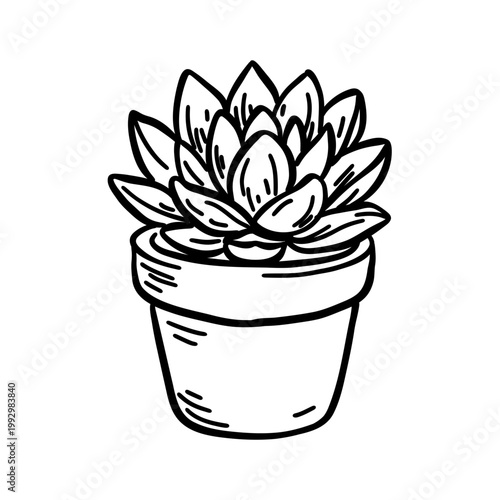 Hand-drawn linear icon of a succulent houseplant in a pot. Minimalist sketch of a home flower for decor, gardening, and eco design. Vector illustration.