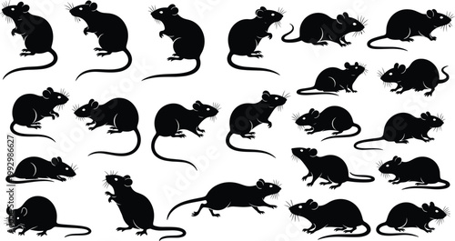 Rat silhouette vector set in flat style, black rodent collection with different poses for pest control, wildlife and animal design