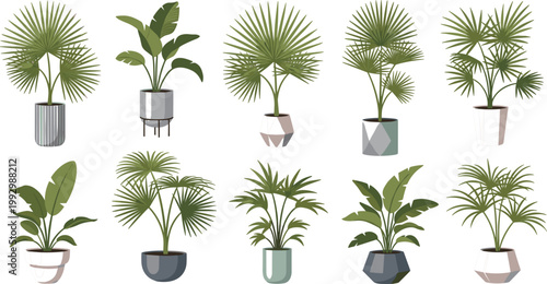 Set of tropical indoor plants in pots vector illustration, palm and leafy houseplants collection for modern home decor and interior design