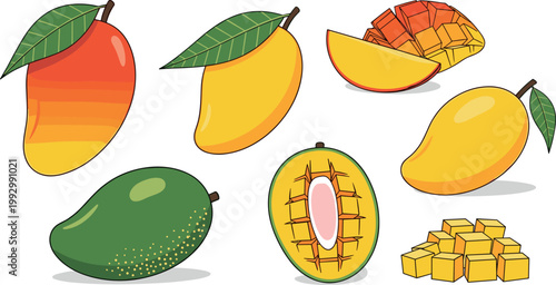 Mango fruit set with whole sliced pieces cubes and leaves tropical fresh summer vector illustration