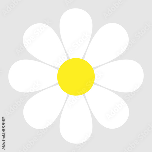 Daisy flowers icon vector. Daisy Illustration sign. Chamomile symbol. flowers logo.