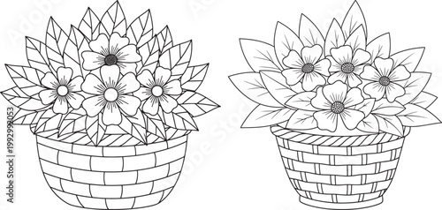 Two baskets filled with blooming flowers black and white background clipping path blooming decoration arrangement container outdoors illustration clipping botanical fragrant