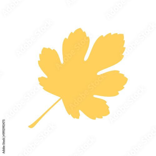 Elegant leaf logo design in vector format, clean and minimal on white.