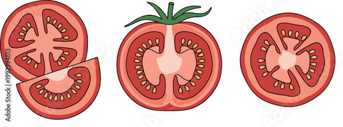 Fresh Sliced Tomato Illustration Set with Whole, Half, and Quarter Cut Views for Food, Vegetable, and Healthy Diet Designs
