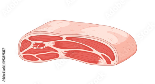 High quality cut of raw marbled beef or pork meat showing internal muscle structure and fat on a white background.