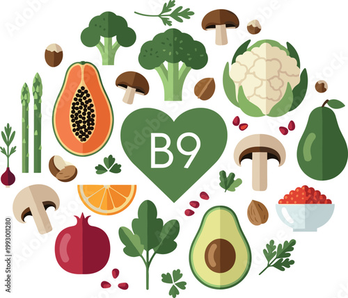 Healthy Vitamin B9 folate rich food sources circular flat vector illustration featuring fresh organic vegetables fruits and nuts
