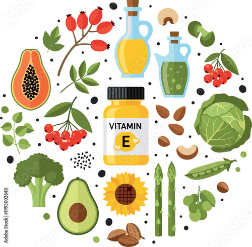 Healthy Vitamin E rich food sources circular vector illustration featuring supplement bottle, avocado, nuts, vegetables, and oils