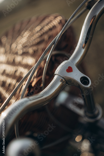 A retro bicycle with a basket against the backdrop of spring nature. Selective focus. Beautiful background.