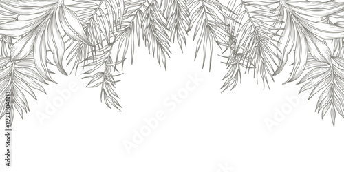 Tropical floral background with palm leaves. Hand drawn frame in sketch style. Vector illustration for design of card, banner, invitation, advertising and packaging