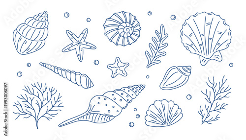 Hand-drawn illustration of various seashells, starfish, and marine plants