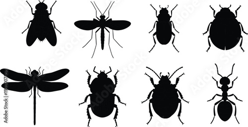 Insect silhouettes collection isolated on white background, bug vector illustration set, wildlife creatures, entomology design elements, detailed beetle ant mosquito dragonfly shapes