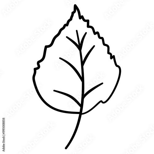 birch leaf 